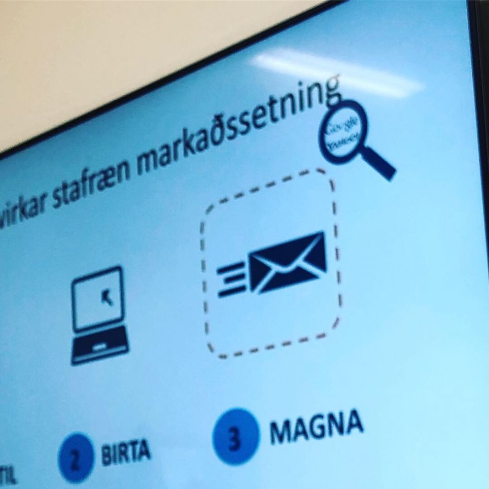 Mynd frá vinnustofu síðasta árs.