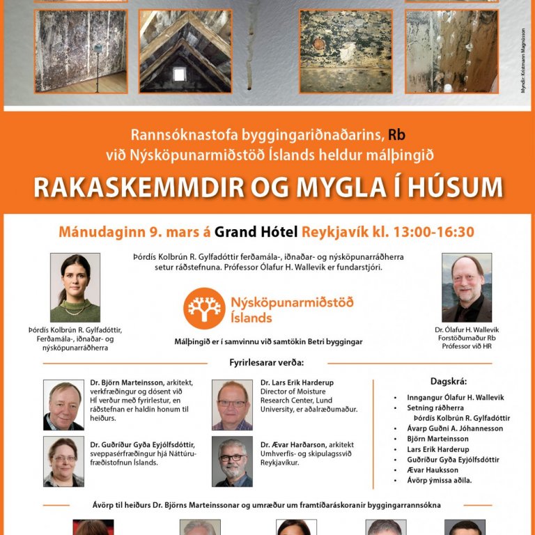 Málþingi um rakaskemmdir frestað til haustsins